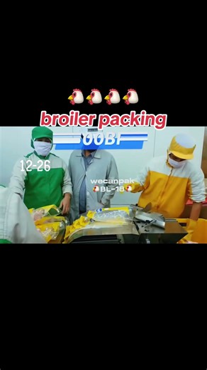 broiler chicken packing machine chicken packing machine poultry bagger machine chicken bag loader
