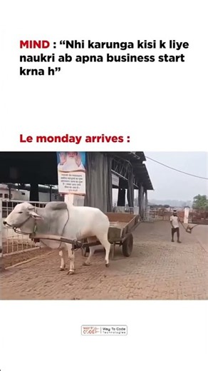 Every Monday, corporate employee situation. #corporate #corporatelife #corporatememes
