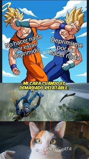 #auracat