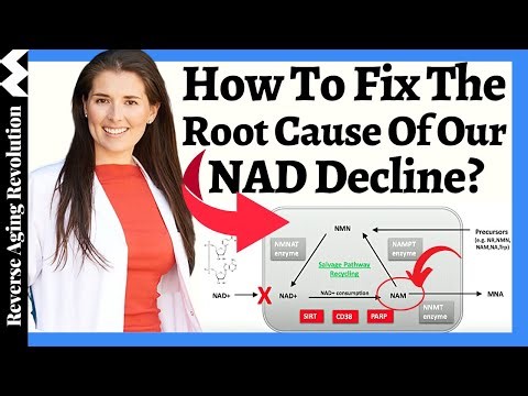The Problem Of Taking A NAD Precursor Alone | Lead NAD Scientist Explains