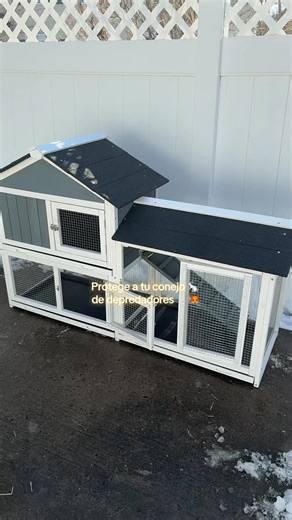 Protect Your Rabbit from Predators