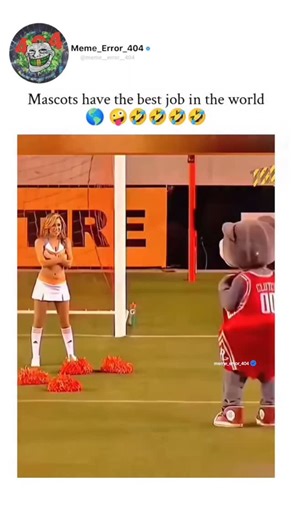 MEME_ERROR_404 on Instagram: "The post shares a 67-second compilation video of mascots engaging in playful antics at sports events, such as dancing with cheerleaders, blindfolded dunks, and fan hugs, underscoring their light-hearted chaos. Posted by comedy-focused @melon on 20 January 2026, it has amassed 49,668 likes and 12.7 million views, aligning with the account's style of viral memes and animal-themed humour. User replies echo the sentiment, with many joking about career changes to mascot 