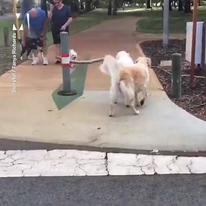 50K views · 406 reactions | The branch manager helping out the assistant branch manager  | Metro | Facebook