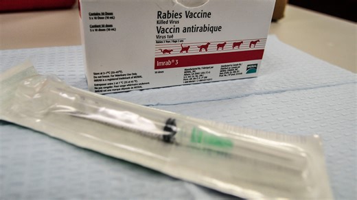 Coventry to host emergency rabies clinic after discovery of rabid cat