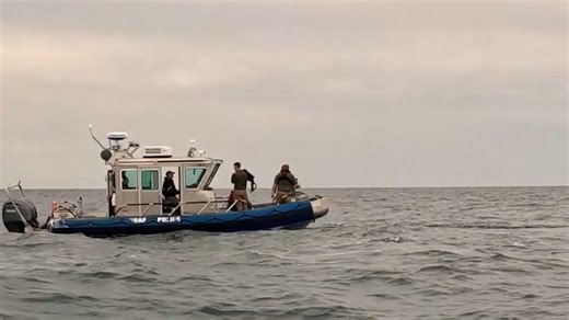 How marines conduct patrol weapons training in Florida