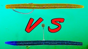 Come underwater and compare 7 popular stick baits! https://bit.ly/3KLKKlF