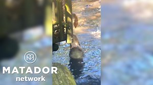 Family Day at Florida Alligator Farm