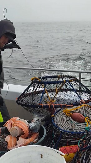 Setting crab traps as we go out fishing. | Brian Thomas