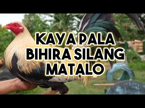 SEKRETO NG MGA BITIRANO
