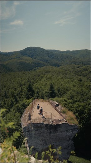 🥾RANDO GR 53 - Etape 1 | 🌲Départ pour un incroyable aventure à travers les Vosges du Nord ! 1️⃣ Pour cette première étape, on part entre Wissembourg et Obersteinbach, le long de la frontière avec l’Allemagne, à la carte : - la ville fortifiée de Wissembourg - les vignobles de Rott - les châteaux d’Hohenbourg et du Lowenstein, - le château de Fleckenstein et son étang, - le château de Froensbourg - le rocher des bohémiens, - le château du Wasigenstein Et tout du long pour vous accompagner, les