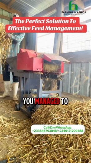298 reactions · 18 shares | With this chaff cutter machine, you are able to manage feed wastage at your farm while’s saving cost! #farminginafrica #semanhyiafarms #livestockfarming #farmmachinery #chaffcutter | Farming In Africa | Facebook