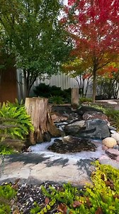 13K views · 274 reactions |  Autumn looks even better with a...