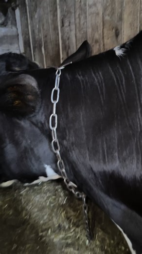 Відео користувача lunka_lira (@lunka_lira) з композицією «оригинальный звук - lunka_lira»