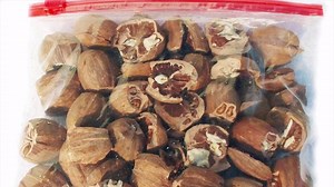 If You've Never Tried Hickory Nuts, You Don't Know What You're Missing