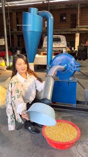 Corn Grinding Machine Process 🌽⚙️
