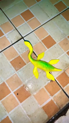 Funny frogs Catching | Wep wep catching frogs funny | boing catch frogs make you laugh #shorts