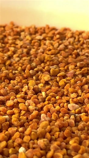 Pollen Mission: Bees Heading Home 🐝🌸 #Shorts