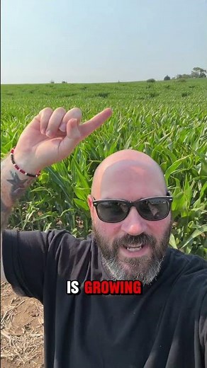 Terror 29 Haunted Corn Maze will be EPIC this October 🌽🧟