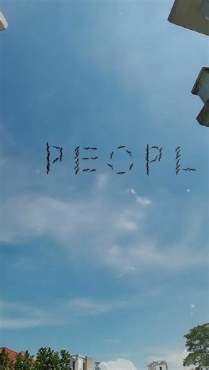 “Look, the wild geese are flying past”#edit #movie #film