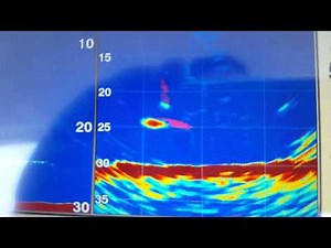Garmin Sonar: Jigging with PS30 Live Vu in real time.