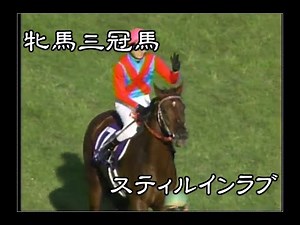 【牝馬三冠馬】スティルインラブ