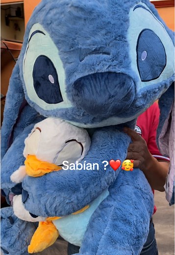 Discover Adorable Lilo and Stitch Plush Gifts