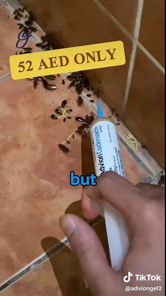 adviongel1 على TikTok