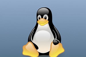 Linux está creado en una vieja versión del lenguaje C que da problemas. La solución es reprogramarlo