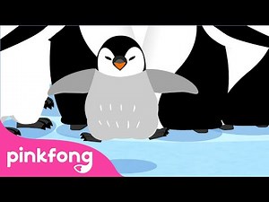 Pinguin | Lagu Binatang | Kartun & Lagu Anak | Pinkfong dan Baby Shark