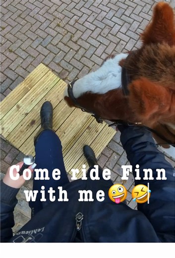 Young Pony Training: Finn's Jumping Adventures