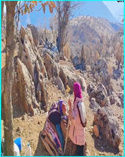 In a daring bid for freedom, a villager unravels long-buried secrets as they flee a place they once called home. | Ranger Survival