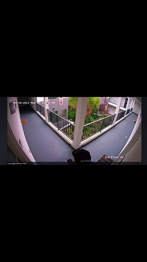 Postmate Steals Neighbor's Packages Caught on Camera