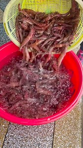 Amazing huge tiger prawns catch | Fresh prawns #fishing #prawns #fishhunting | Food World