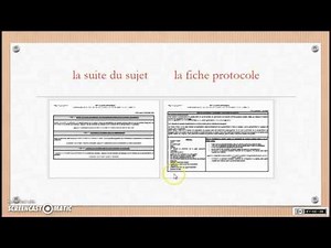 SVT - Spécialité (1ère-Term) - Méthodo BAC 5 - l'ECE (épreuve expérimentale)