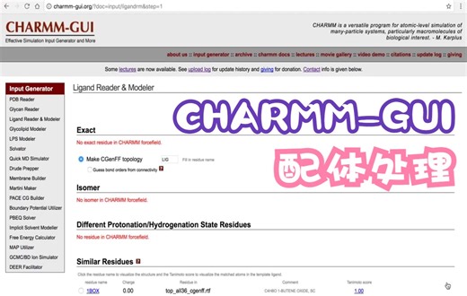 【中英字幕】CHARMM-GUI教程之配体分子结构构建 Ligand Reader & Modeler
