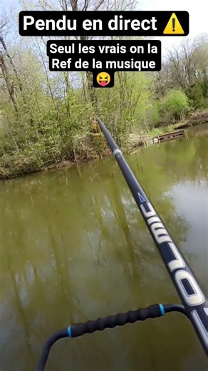 #fishing #carp #bardock