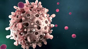 Leukocytes or immune cells seclude antibodies into blood plasma on immune response - 3d illustration