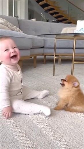 When Puppies Meet Babies... Pure Happiness! ❤️ #shorts #funny