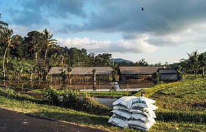 Two Farming Scams To Be Aware Of: Farmer Commercial Registry And State Withholding Tax