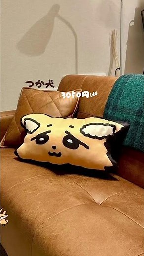 つか犬クッションが販売されます 2025 6/15~6/30まで受注販売 ほかにもいっぱい！
