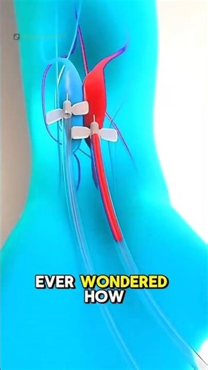 How Dialysis Works? (3D Animation) #shorts #shortvideo #shortsfeed #ytshorts #yt #youtubeshorts