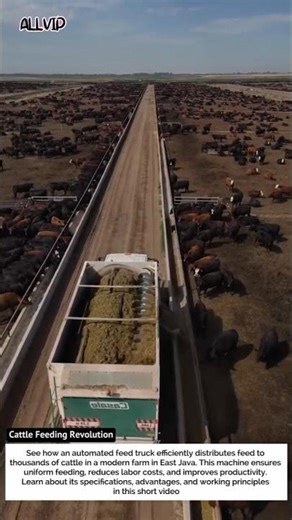 Cattle Feeding Revolution: The Automated Feed Truck in Action!