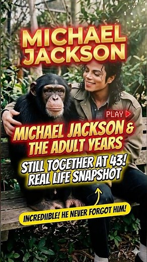 Michael Jackson’s Chimp Bubbles Is 43 — And Living a Quiet Life in Florida #showbiznews #celebrity