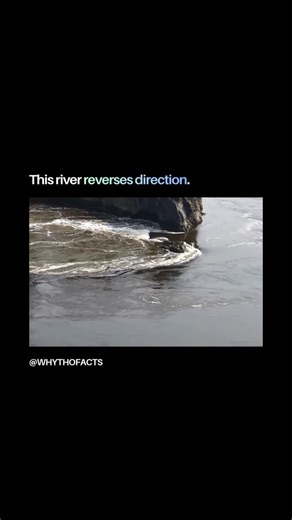 WhyThoFacts | Daily Curiosity on Instagram: "At the Bay of Fundy, extreme tides push ocean water upriver, reversing the river’s flow and creating walls of water that travel inland. A river forced to retreat. Follow for more little wonders of the world 🌍 #WhyThoFacts #TidalBore #Hydrodynamics #EarthScience #OceanTides"