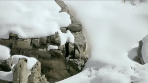 Surviving the Mountains: Snow Leopard’s Fight Against Wolves, Wild Dogs, and Fierce Rivals!