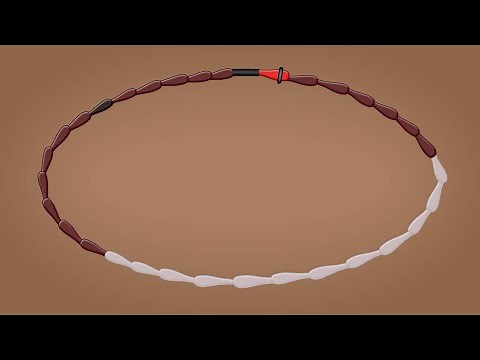 Calendar-based Methods (Health Workers) - Family Planning Series