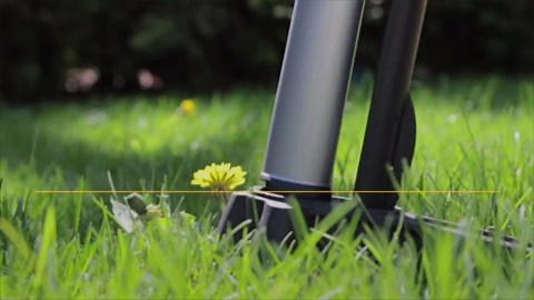 How To Get Rid Of Dandelions Without Chemicals