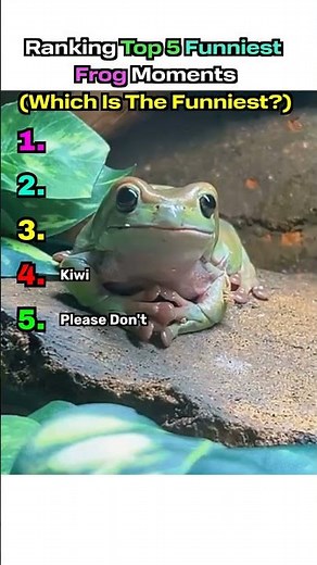 Ranking Top 5 Funniest Frog Moments 🐸😂