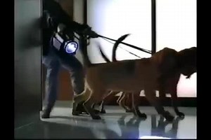 GEICO - Security Dogs | Commercial | Retro Junk