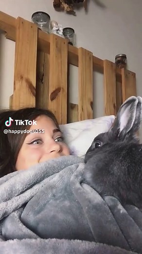 Funny Bunnies Playing – Cute Rabbit Moments That Will Make You Laugh